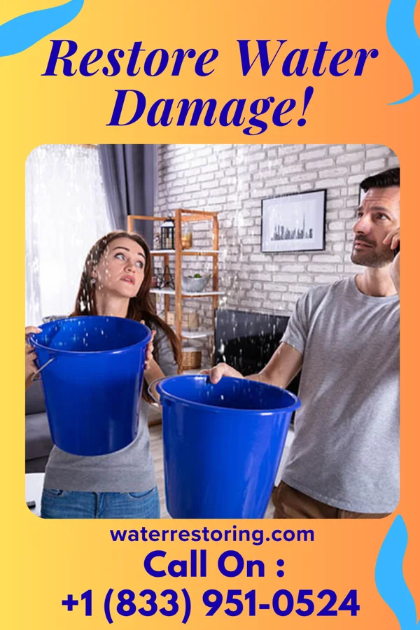 water restoration Diamond Water Mitigation Services Leadwood