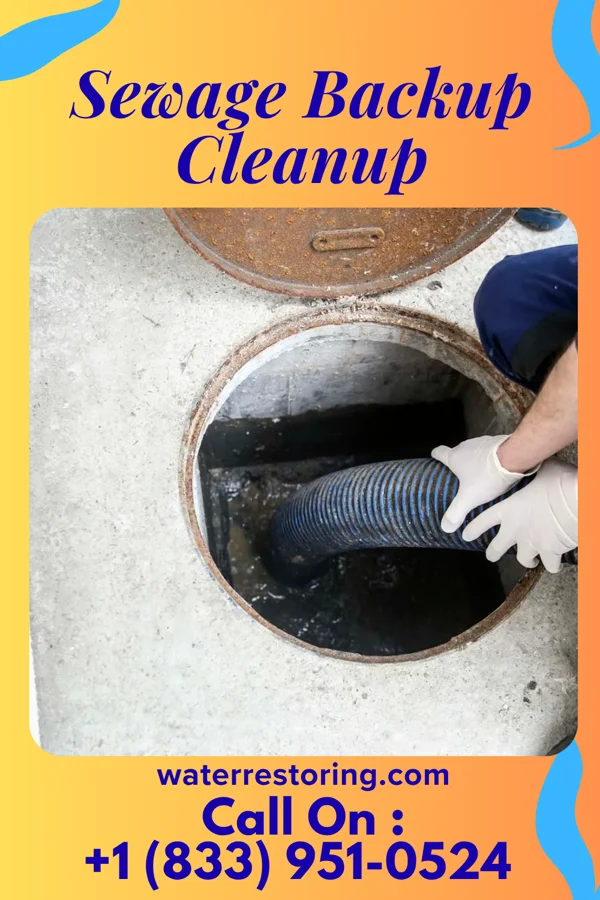 Sewage Backup Cleanup in Leadwood, MO
