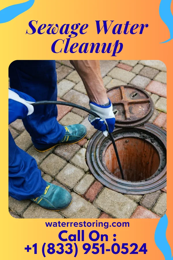 Sewage Water Cleanup in Leadwood, MO